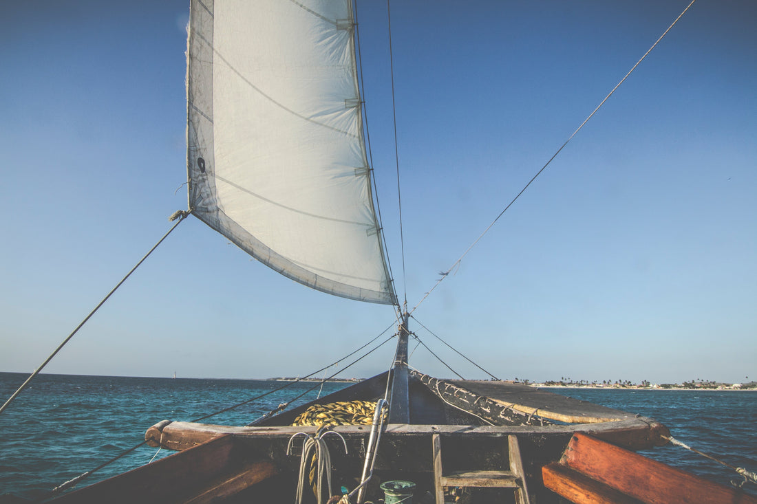 Navigating Cultural Transitions: Essential Tips for Expats
